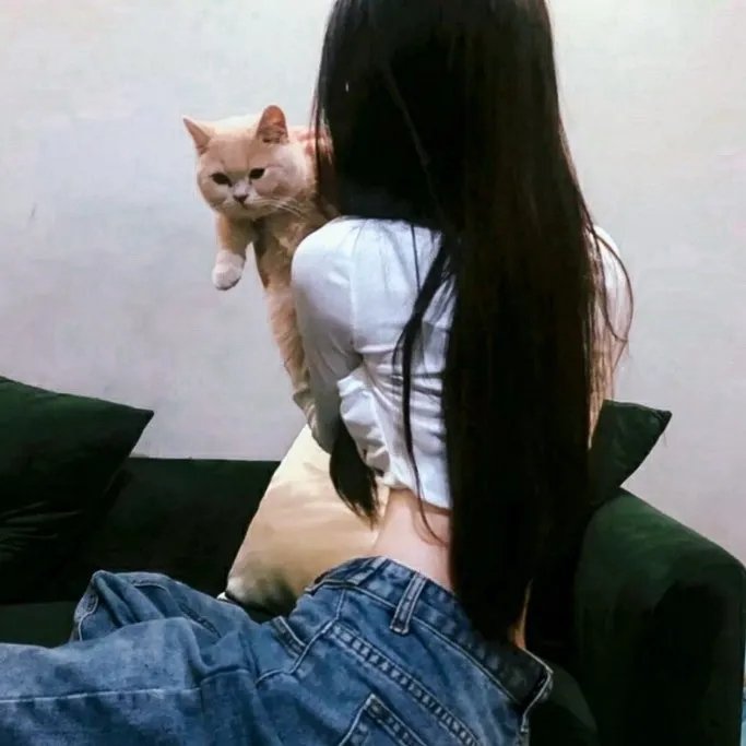 作戏